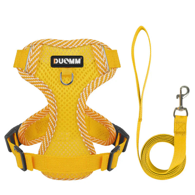 Reflective Dog Harness & Lead Set – Puppies & Small Dogs