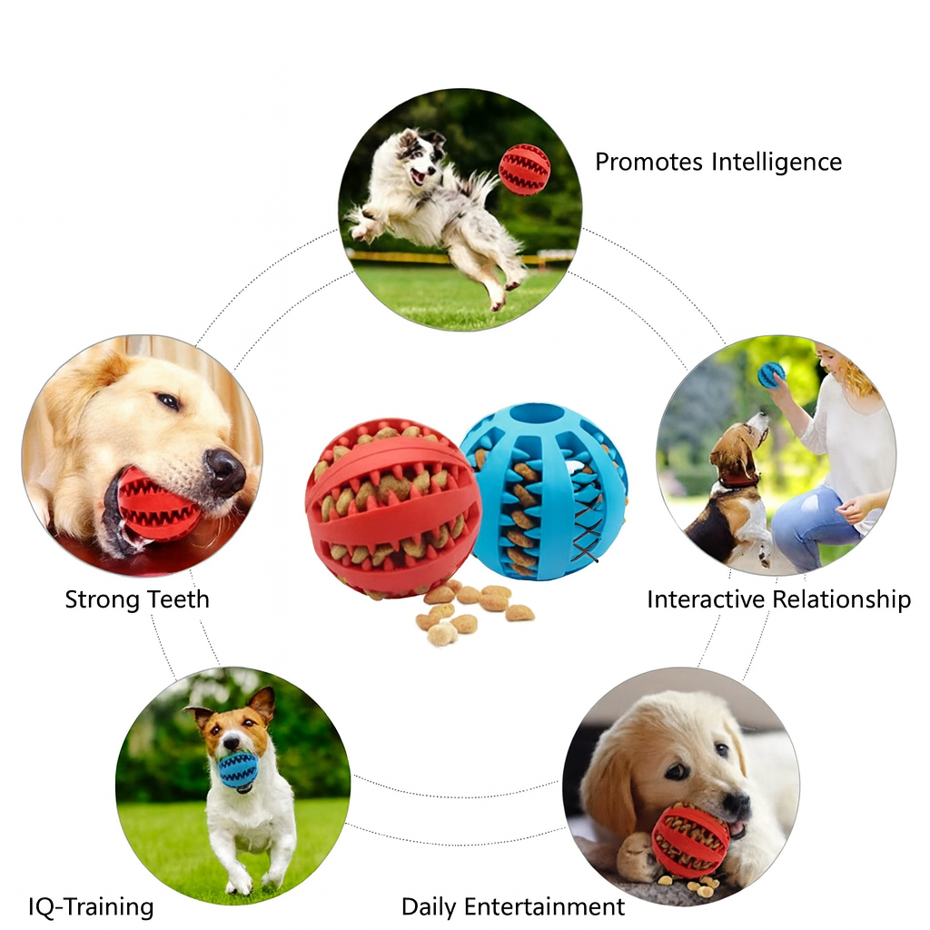 Dog Chew Ball & Treat Toy – Dental Care & Play AU