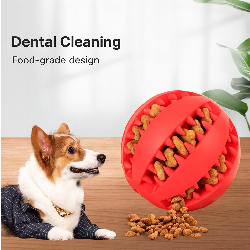 Dog Chew Ball & Treat Toy – Dental Care & Play AU