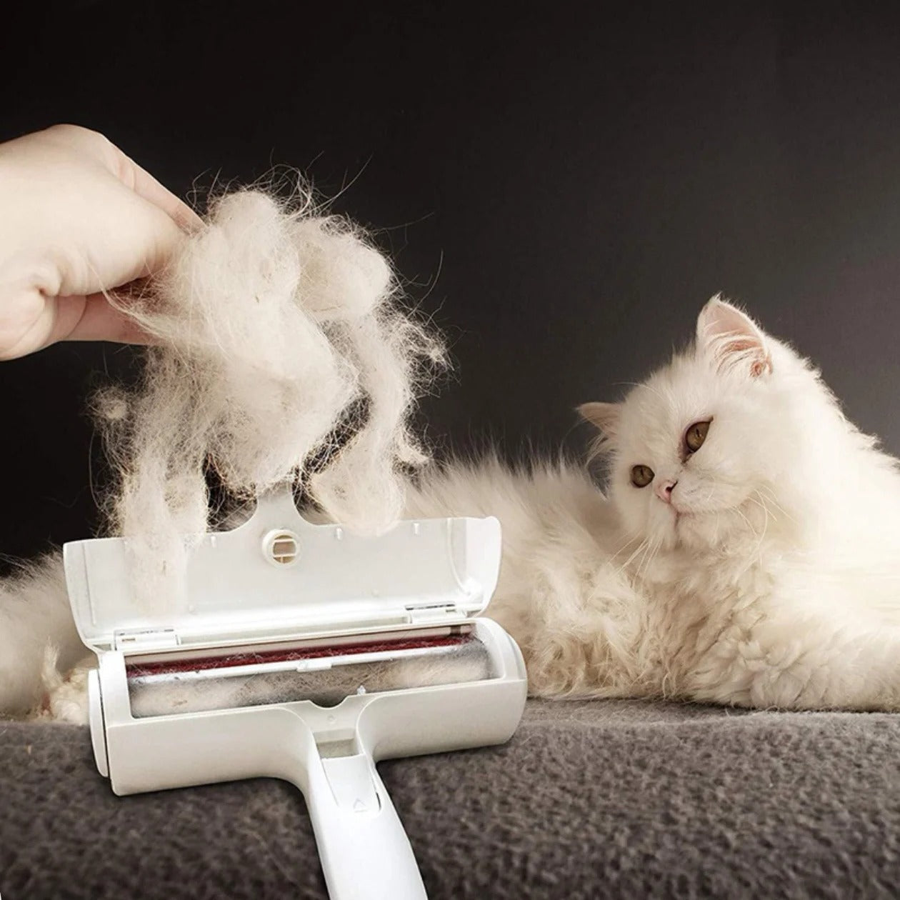 Pet Hair Remover Brush Australia β Reusable & Easy