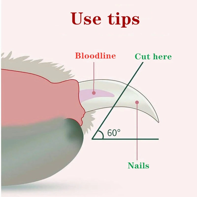 LED Pet Nail Clipper Australia β Safe & Easy Nail Care
