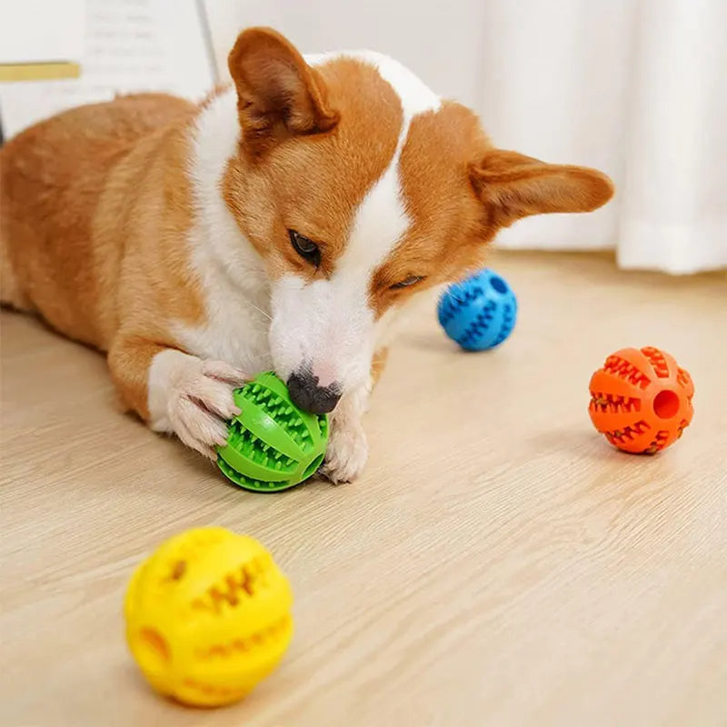 Dog Chew Ball & Treat Toy – Dental Care & Play AU