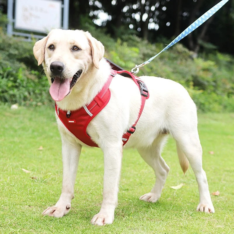 EasyWalk Dog Harness Australia – No Pull & Reflective