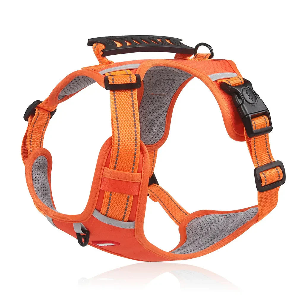 EasyWalk Dog Harness Australia – No Pull & Reflective
