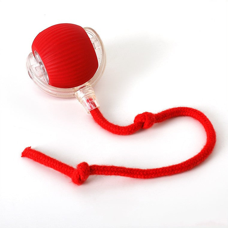 Interactive Dog Ball – Keep Your Mate Fit & Happy