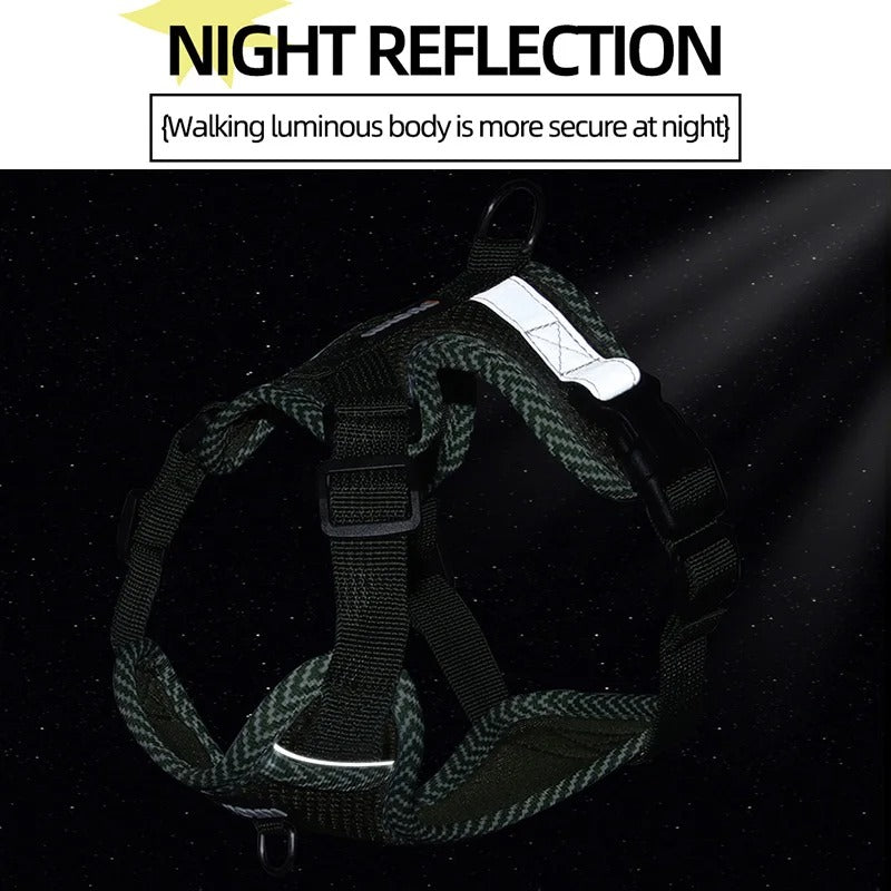 Reflective Dog Harness & Lead Set – Puppies & Small Dogs