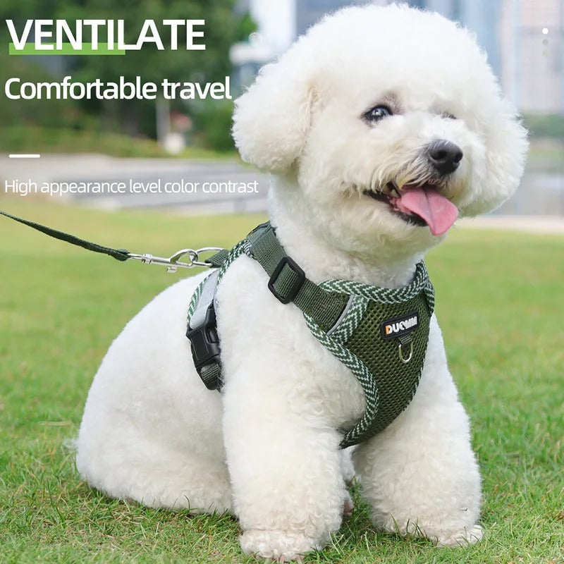 Reflective Dog Harness & Lead Set – Puppies & Small Dogs