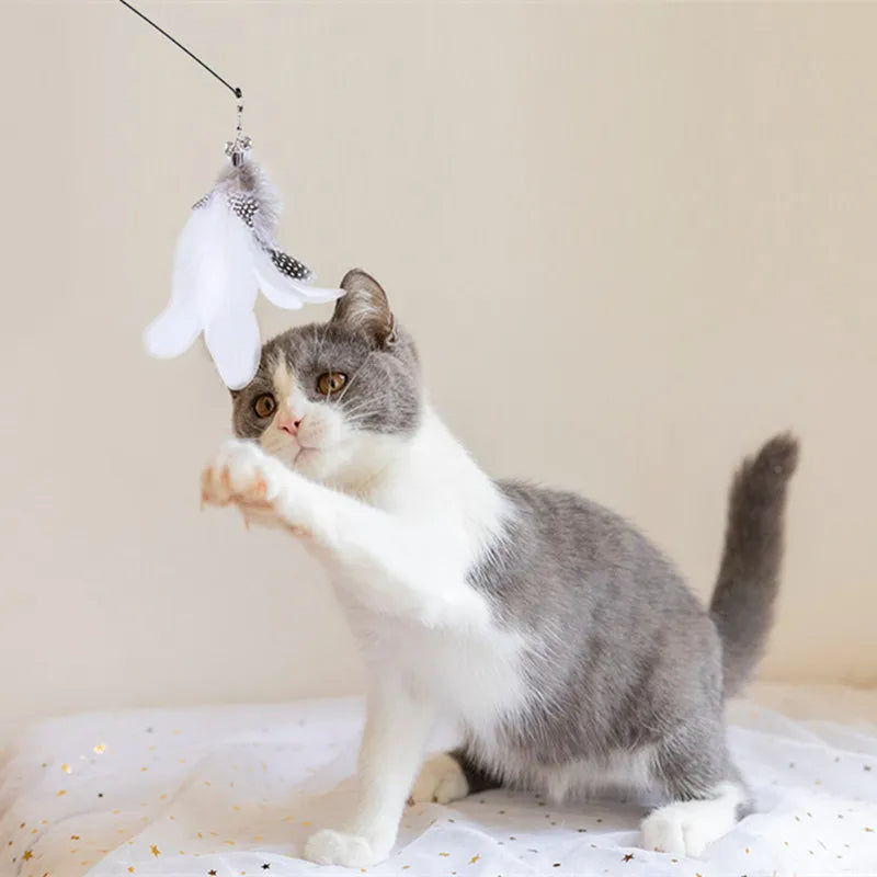 Interactive Cat Wand Toy – Feather Bird Play for Aussie Cats