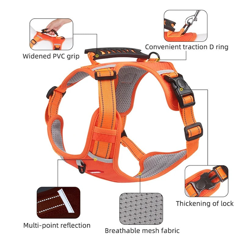 EasyWalk Dog Harness Australia – No Pull & Reflective
