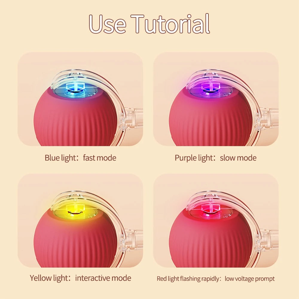 Cat Toy Ball with Tail – Interactive Fun for Aussie Cats