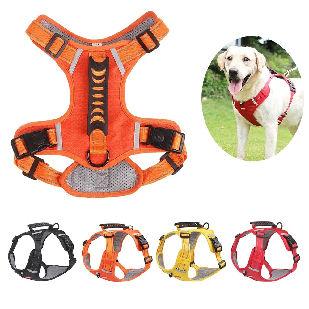 EasyWalk Dog Harness Australia – No Pull & Reflective
