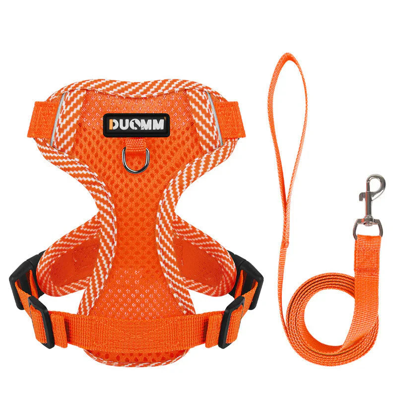 Reflective Dog Harness & Lead Set – Puppies & Small Dogs