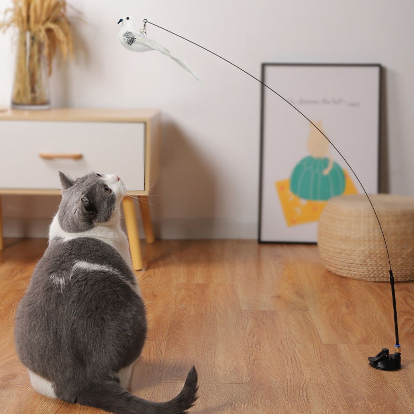Interactive Cat Wand Toy – Feather Bird Play for Aussie Cats
