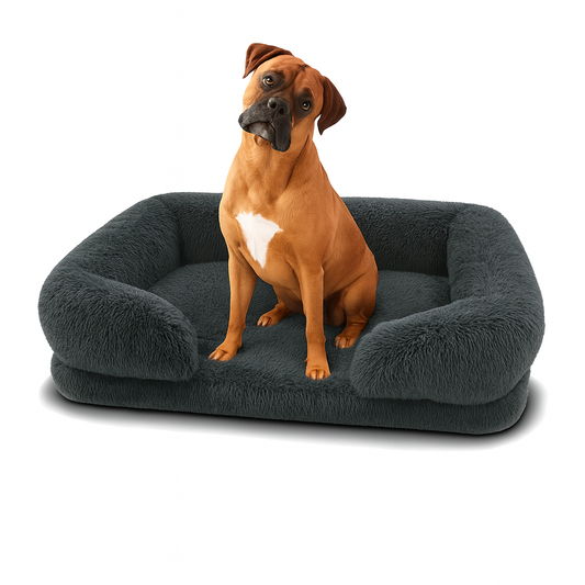 Orthopedic Dog Bed Australia – Memory Foam Comfort