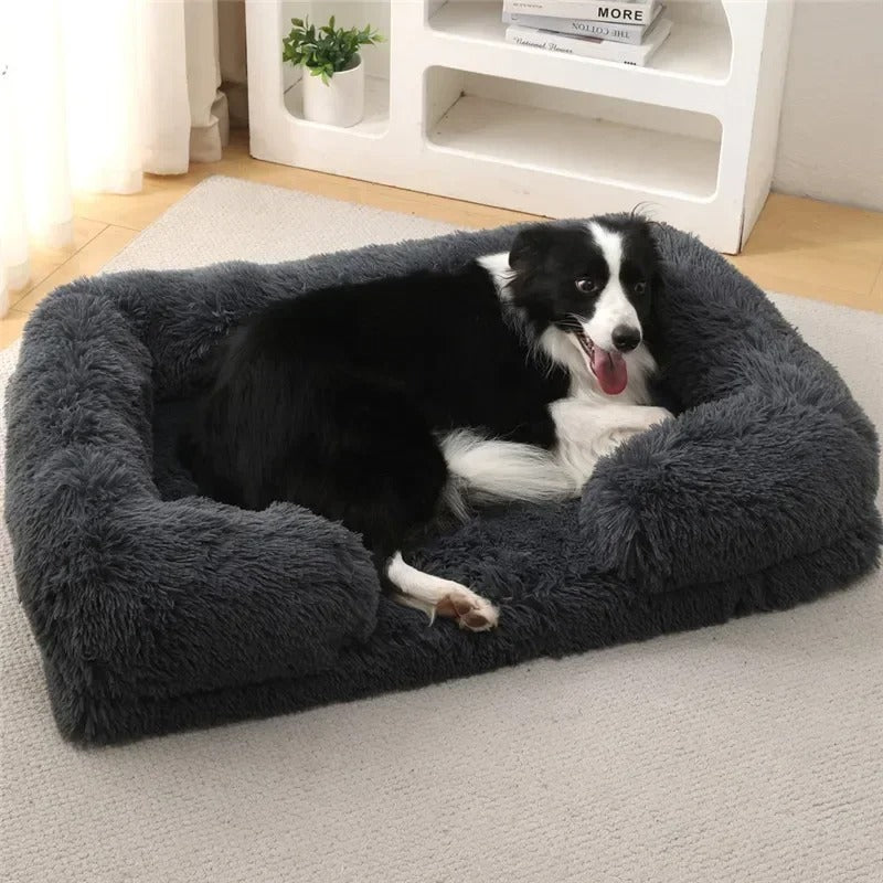 Orthopedic Dog Bed Australia – Memory Foam Comfort