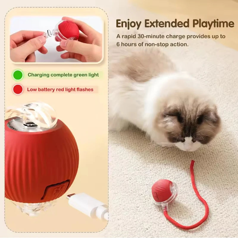Cat Toy Ball with Tail – Interactive Fun for Aussie Cats
