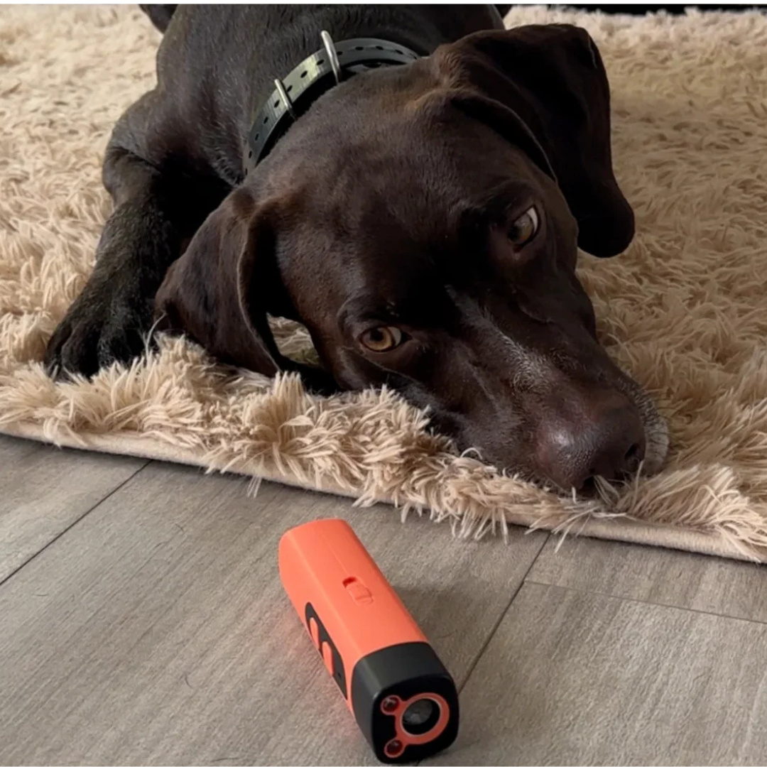 Ultrasonic Dog Trainer – Safe Anti-Bark Device for Aussie Dogs