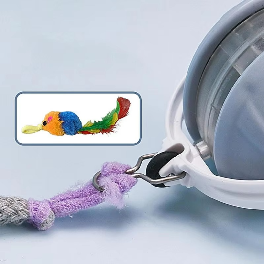 3in1 Interactive Cat Laser Ball with Feather – Australia