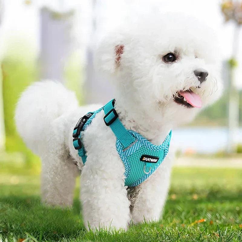 Reflective Dog Harness & Lead Set – Puppies & Small Dogs