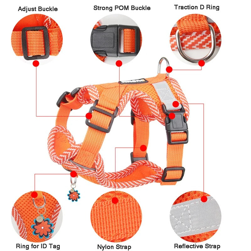 Reflective Dog Harness & Lead Set – Puppies & Small Dogs