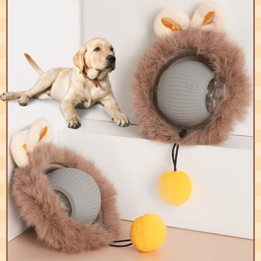 Interactive Dog Ball – Active Fun for Aussie Dogs