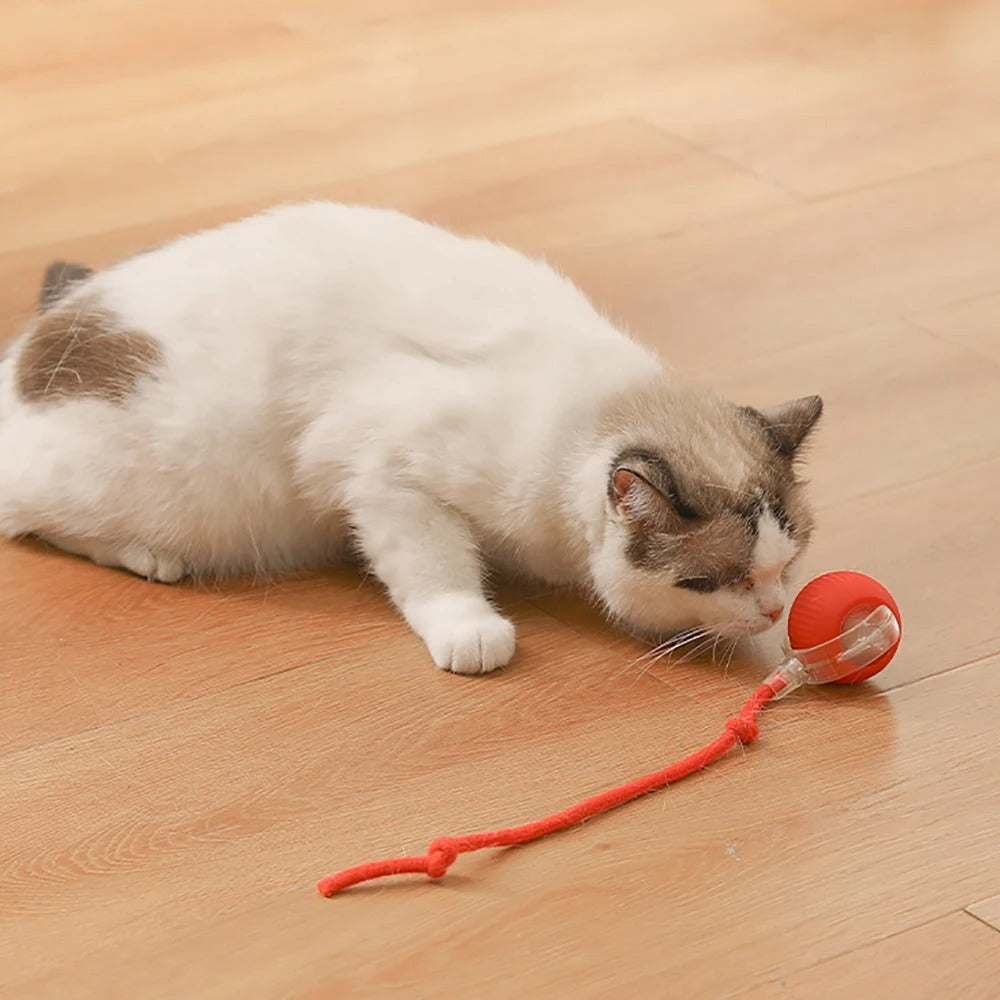 Cat Toy Ball with Tail – Interactive Fun for Aussie Cats