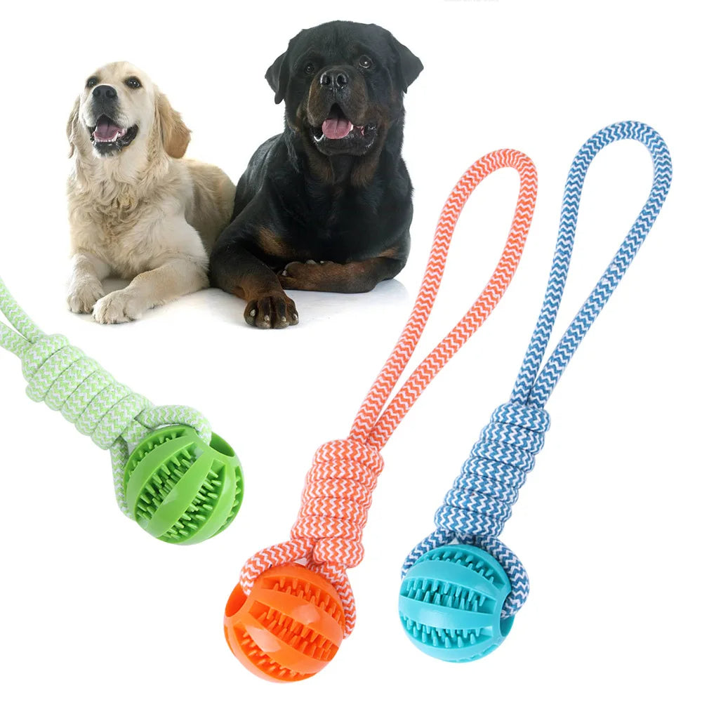 Dog Chew Ball & Treat Toy – Dental Care & Play AU