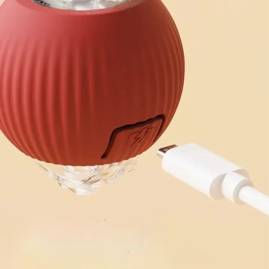 Interactive Dog Ball – Keep Your Mate Fit & Happy