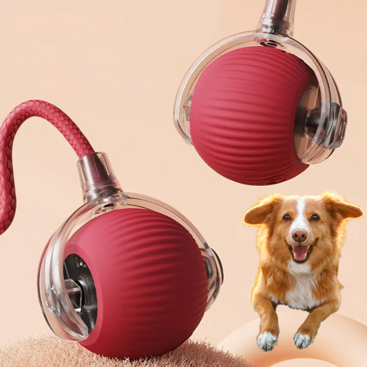 Interactive Dog Ball – Keep Your Mate Fit & Happy