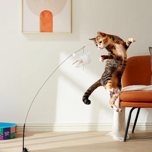 Interactive Cat Wand Toy – Feather Bird Play for Aussie Cats